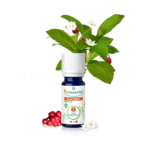 Un petit flacon de Puressentiel Huile Essentielle Gaulthérie BIO 10 ml est entouré de feuilles et de baies de gaulthérie sur fond blanc. dakar