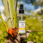 Un flacon de MKL Huile sèche - Monoï - 100 ml est niché au milieu d'un feuillage tropical avec un fond naturel flou