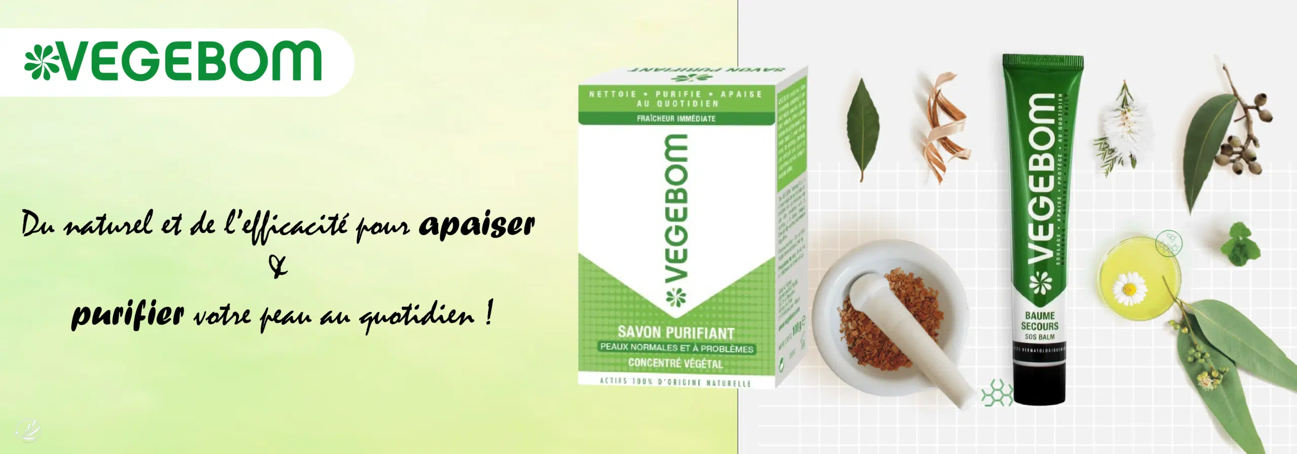 Image promotionnelle pour les produits de soins de la peau Vegebom. Comprend une boîte de savon purifiant et un tube de baume apaisant, entourés de feuilles, un mortier avec des herbes moulues, un petit bol et une cuillère en bois sur un fond quadrillé. Texte en français à gauche. Dakar