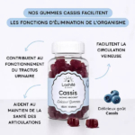 Bouteille de gummies Cassis Mono Boost avec texte descriptif en français soulignant ses bienfaits pour la santé, tels que le soutien des voies urinaires, la santé des articulations et la circulation veineuse. Des myrtilles et des morceaux de gummies sont présentés à proximité. Dakar