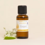 Un petit flacon ambré étiqueté "Aroma Zone Conservateur Cosgard 30ml" se trouve à côté d'un brin de fleurs blanches et de feuilles vertes sur un fond neutre. L'étiquette met en avant ses propriétés antibactériennes et fongicides. Dakar