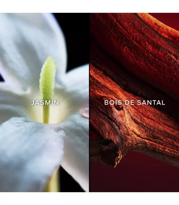Gros plan sur une fleur de jasmin blanc étiquetée "JASMIN" à gauche, et sur un morceau de bois de santal texturé étiqueté "BOIS DE SANTAL" à droite, tous deux avec un éclairage contrasté. Dakar