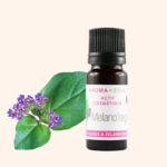 Un flacon de 30 ml d'Aroma Zone Actif AHA - acides de fruits (Copie) est présenté à côté d'une feuille verte ornée de petites fleurs violettes, sur un fond beige clair. Dakar